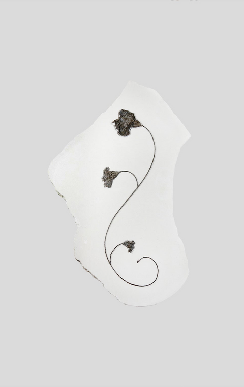 rare moroccan sea lily prepared out of stone and in white limestone on a 1.2m wall mounted slab 2