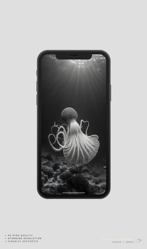 cephalopod digital download in 4k resolution