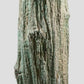 Araucaria Palm Tree Sink Hallway Pedestal [Petrified]