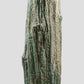 Araucaria Palm Tree Sink Hallway Pedestal [Petrified]