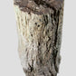 Araucaria Palm Tree Sink Hallway Pedestal [Petrified]