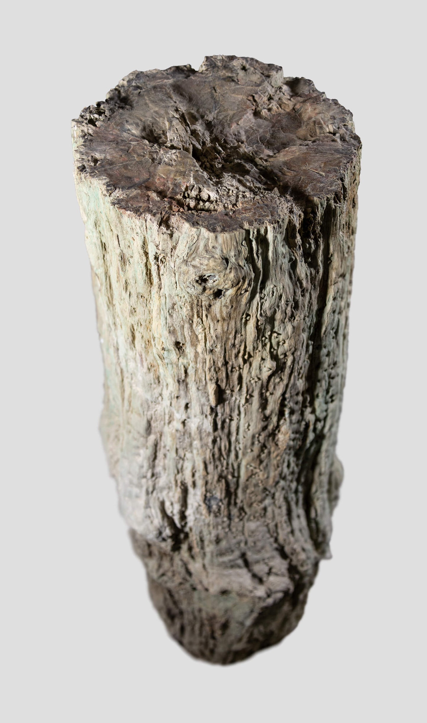 Araucaria Palm Tree Sink Hallway Pedestal [Petrified]