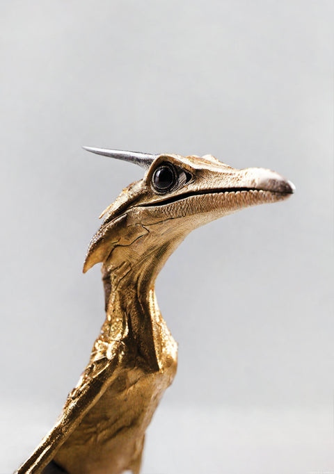 V® Art Pterosaur Flying Reptile Print
