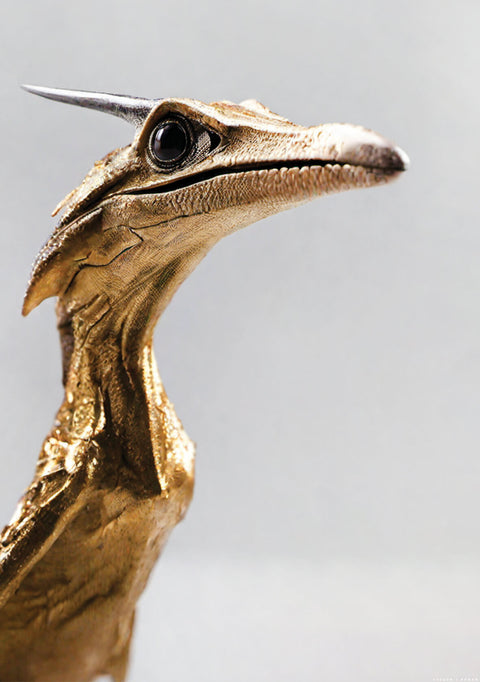 V® Art Pterosaur Flying Reptile Print