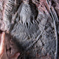 Saharan sea fossil lily plates 36