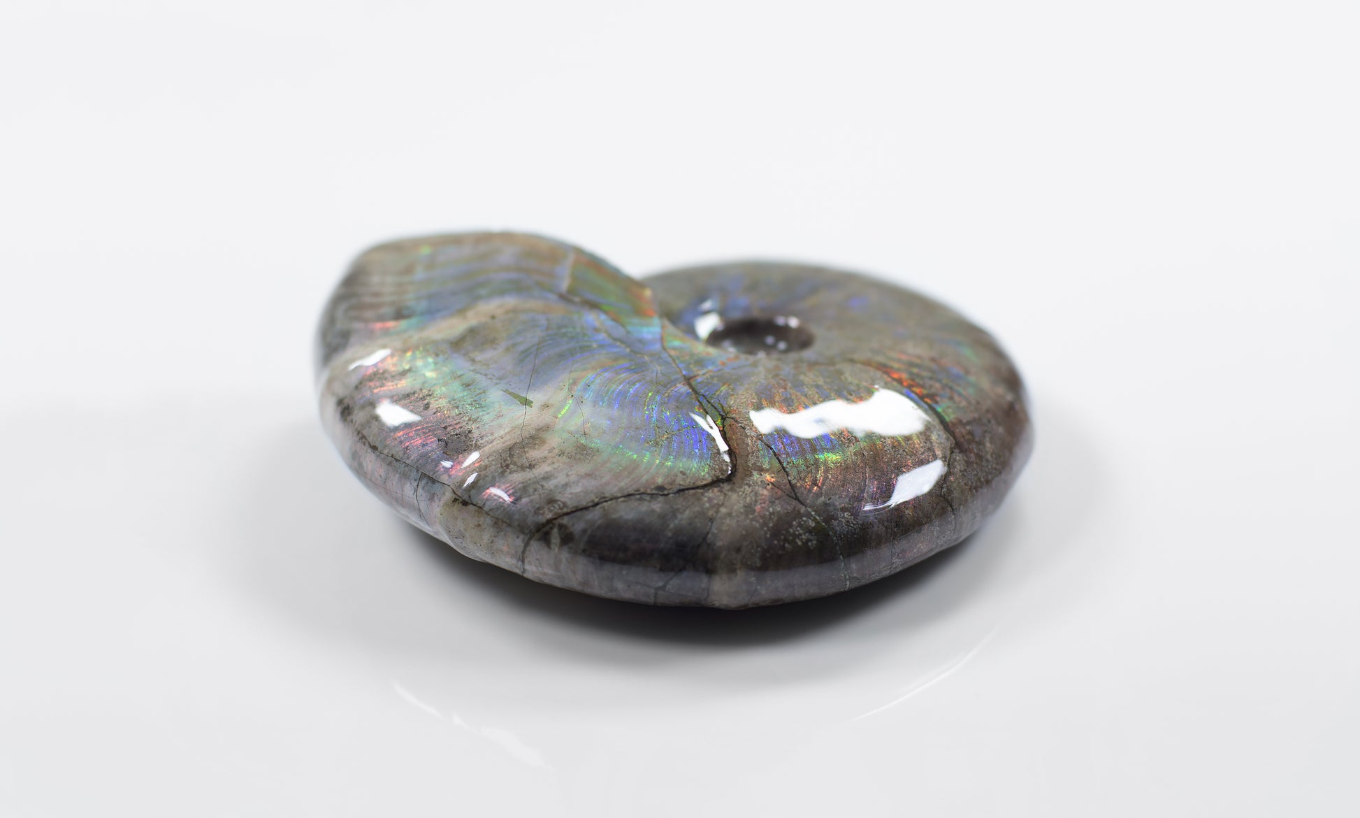 opalescent-ammonite-vosso.co.uk-2.jpg