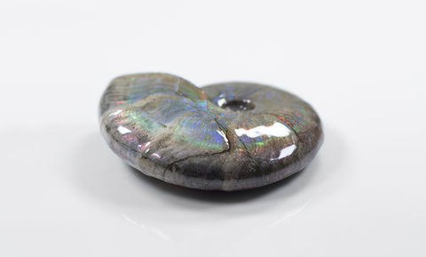 opalescent ammonite for sale at vosso@ mineral shop 4