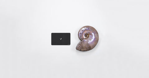 opalescent ammonite for sale at vosso@ mineral shop 44