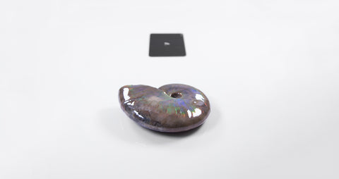 opalescent ammonite for sale at vosso@ mineral shop 26